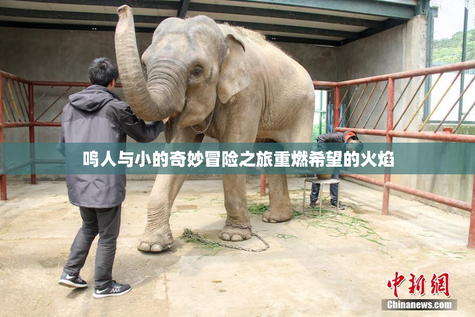 鸣人与小的奇妙冒险之旅重燃希望的火焰