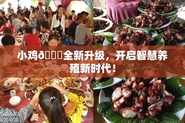 小鸡🐔全新升级，开启智慧养殖新时代！