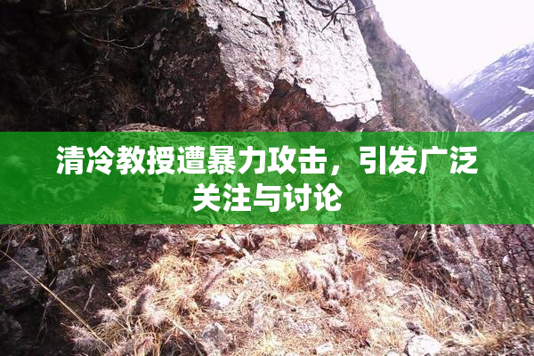 清冷教授遭暴力攻击，引发广泛关注与讨论