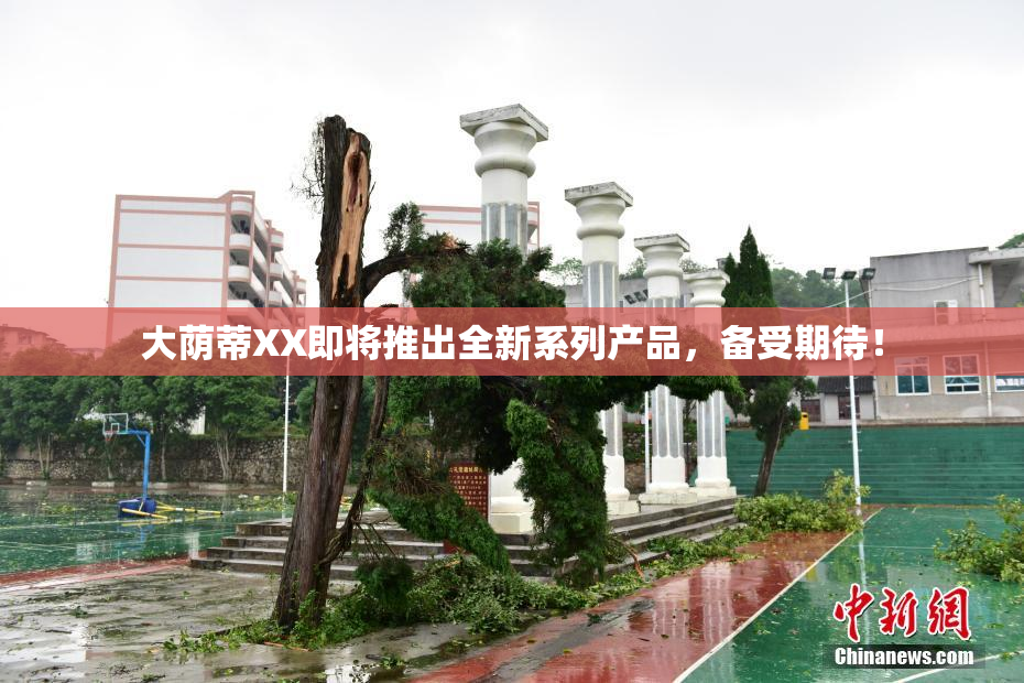 大荫蒂XX即将推出全新系列产品，备受期待！