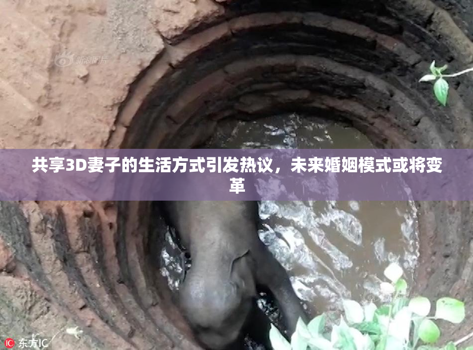 共享3D妻子的生活方式引发热议，未来婚姻模式或将变革