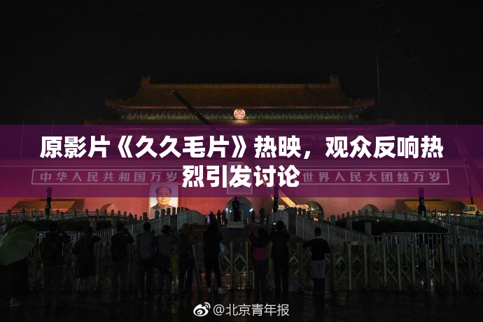 原影片《久久毛片》热映，观众反响热烈引发讨论
