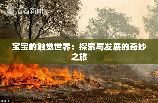 宝宝的触觉世界：探索与发展的奇妙之旅