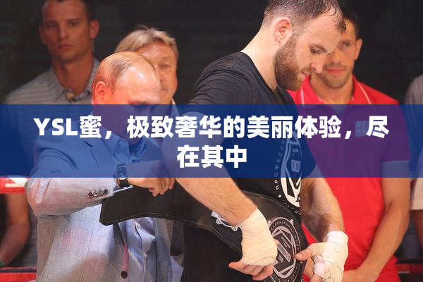 YSL蜜，极致奢华的美丽体验，尽在其中