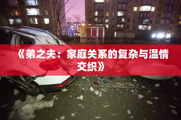 《弟之夫：家庭关系的复杂与温情交织》