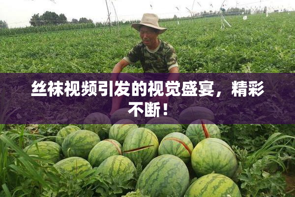 丝袜视频引发的视觉盛宴，精彩不断！