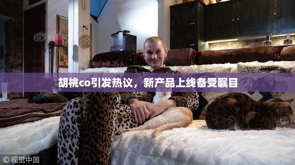 胡桃co引发热议，新产品上线备受瞩目