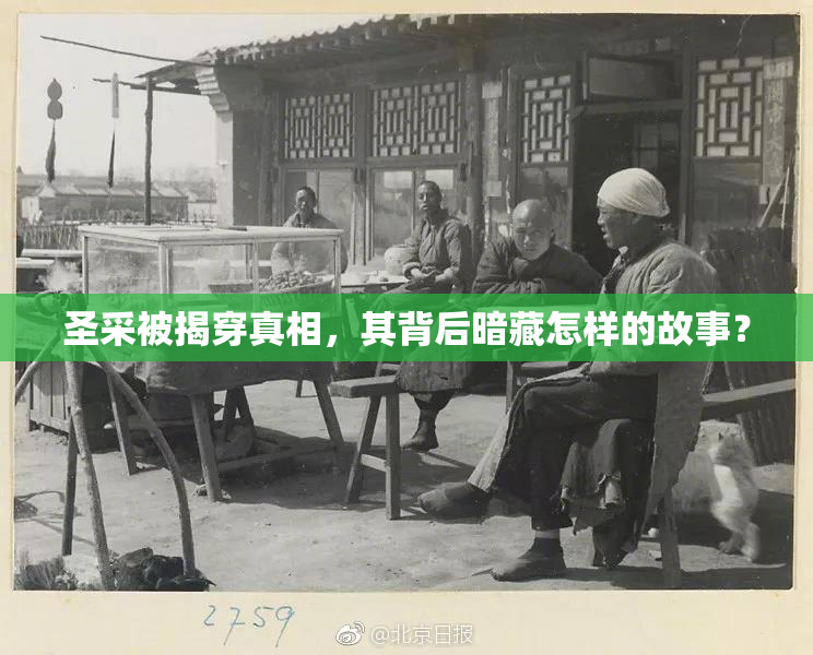 圣采被揭穿真相，其背后暗藏怎样的故事？