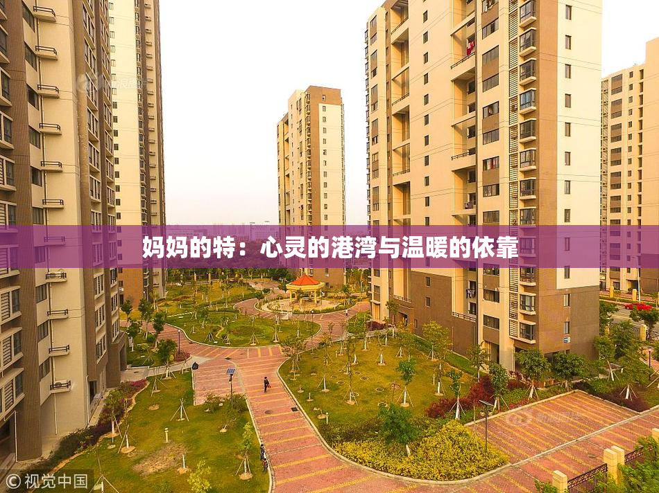 妈妈的特：心灵的港湾与温暖的依靠