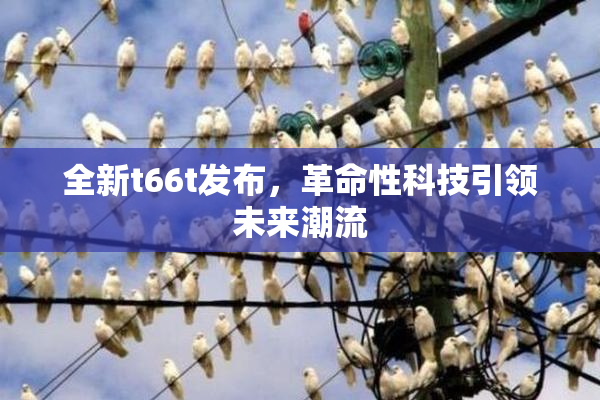 全新t66t发布，革命性科技引领未来潮流