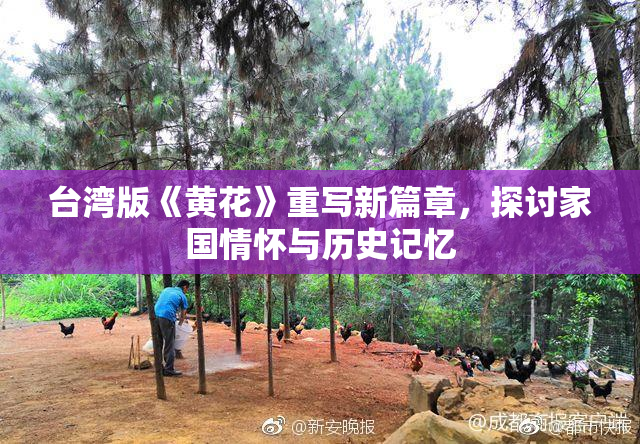 台湾版《黄花》重写新篇章，探讨家国情怀与历史记忆