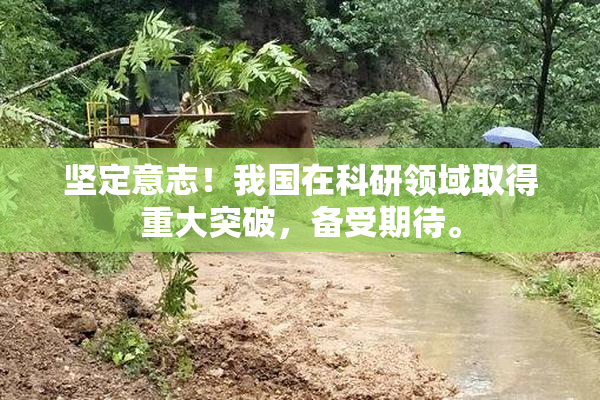 坚定意志！我国在科研领域取得重大突破，备受期待。