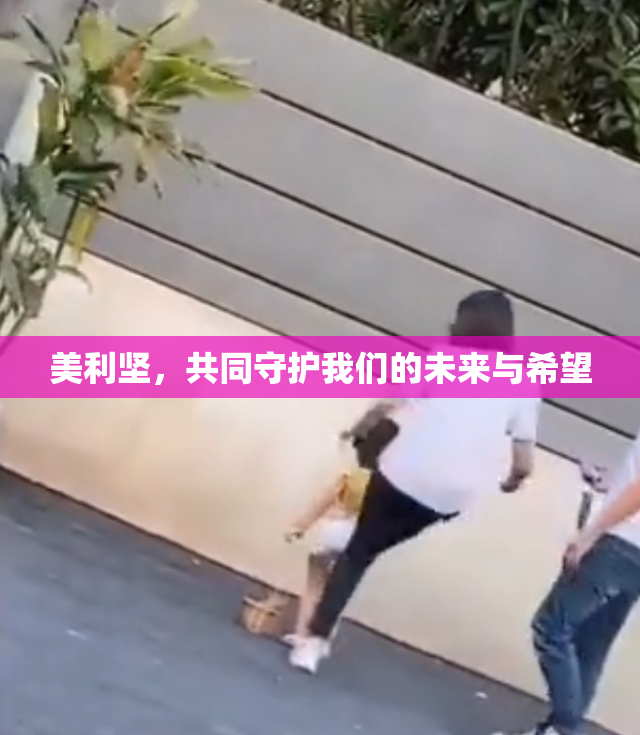 美利坚，共同守护我们的未来与希望