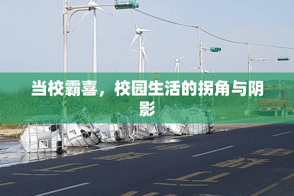 当校霸喜，校园生活的拐角与阴影