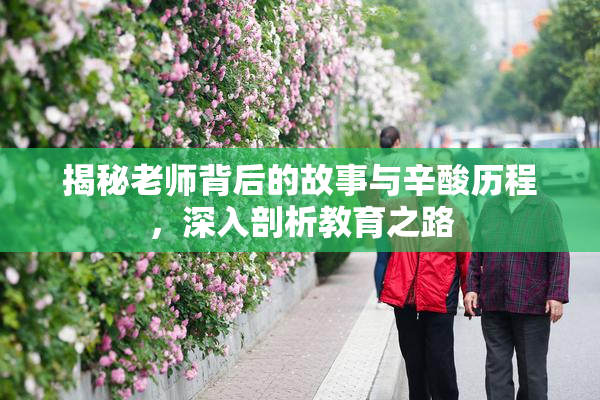 揭秘老师背后的故事与辛酸历程，深入剖析教育之路