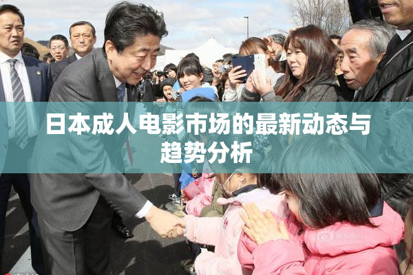 日本成人电影市场的最新动态与趋势分析