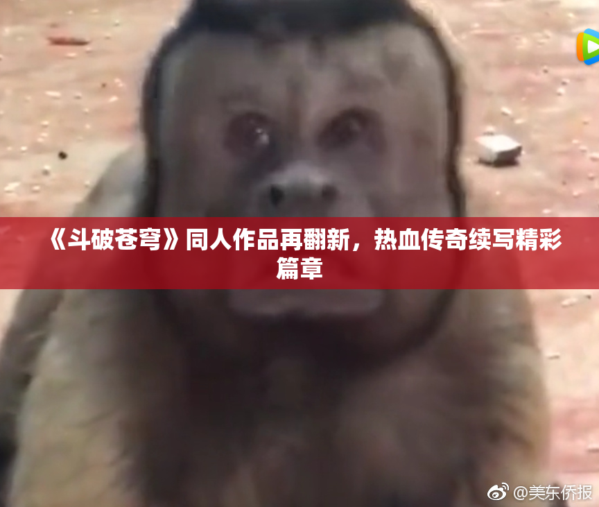 《斗破苍穹》同人作品再翻新，热血传奇续写精彩篇章