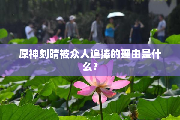 原神刻晴被众人追捧的理由是什么？