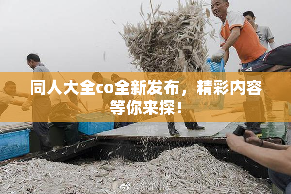 同人大全co全新发布，精彩内容等你来探！