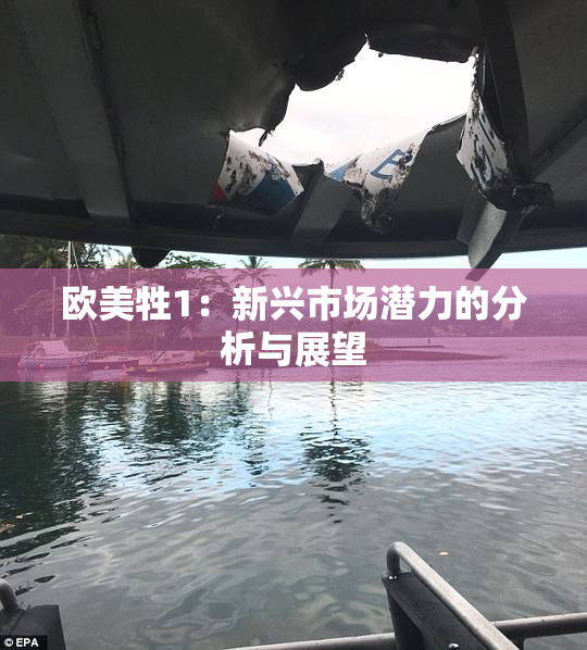 欧美牲1：新兴市场潜力的分析与展望