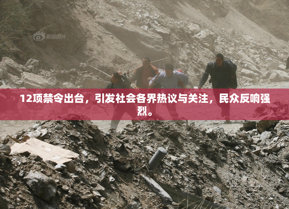 12项禁令出台，引发社会各界热议与关注，民众反响强烈。