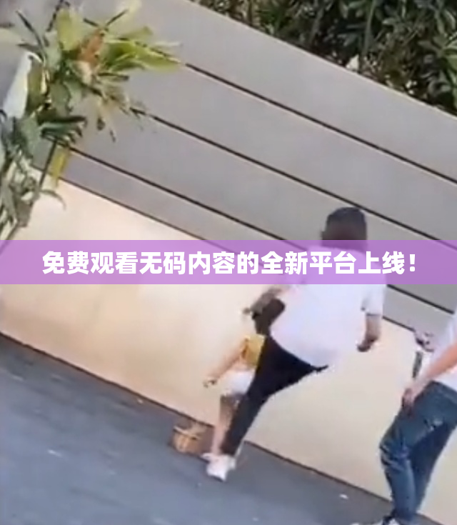 免费观看无码内容的全新平台上线！