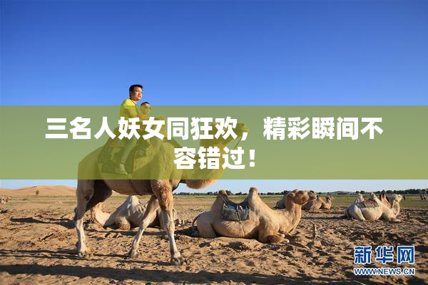 三名人妖女同狂欢，精彩瞬间不容错过！
