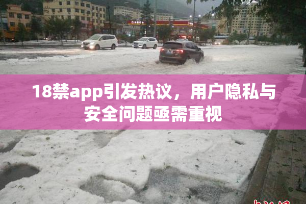 18禁app引发热议，用户隐私与安全问题亟需重视