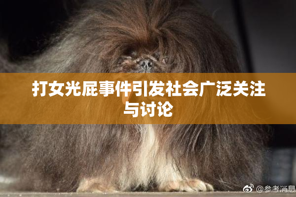 打女光屁事件引发社会广泛关注与讨论