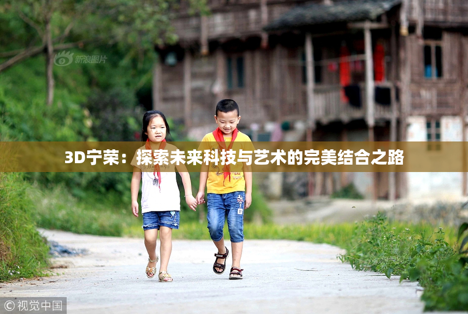 3D宁荣：探索未来科技与艺术的完美结合之路