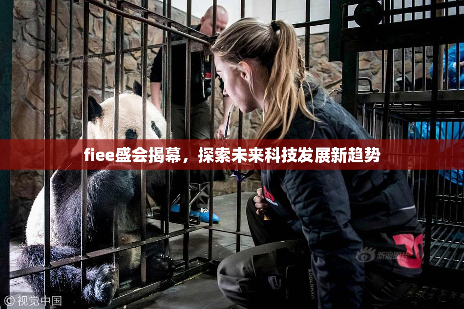 fiee盛会揭幕，探索未来科技发展新趋势