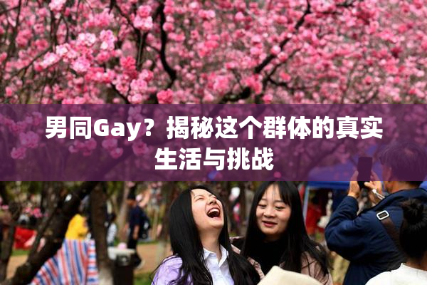 男同Gay？揭秘这个群体的真实生活与挑战