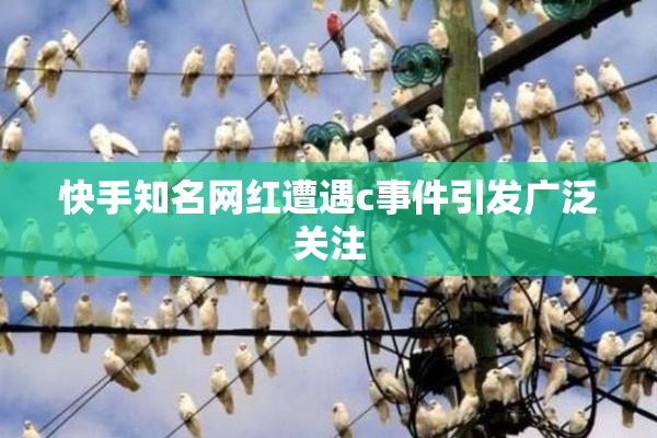 快手知名网红遭遇c事件引发广泛关注