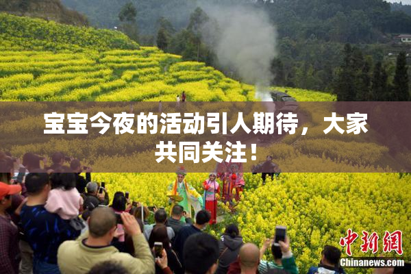 宝宝今夜的活动引人期待，大家共同关注！