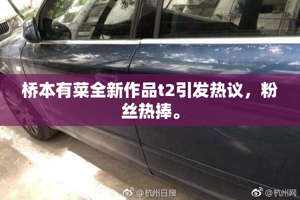 桥本有菜全新作品t2引发热议，粉丝热捧。