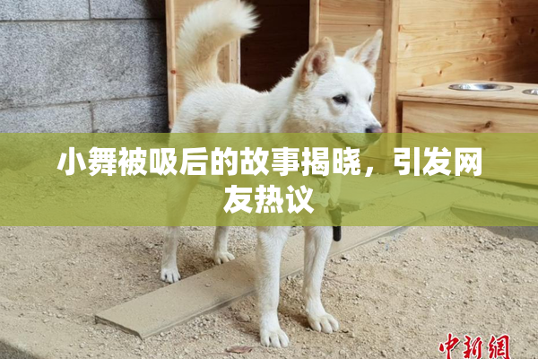 小舞被吸后的故事揭晓，引发网友热议