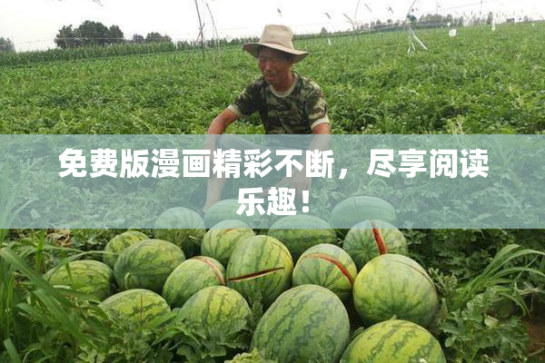 免费版漫画精彩不断，尽享阅读乐趣！