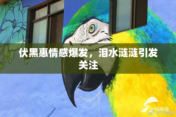 伏黑惠情感爆发，泪水涟涟引发关注