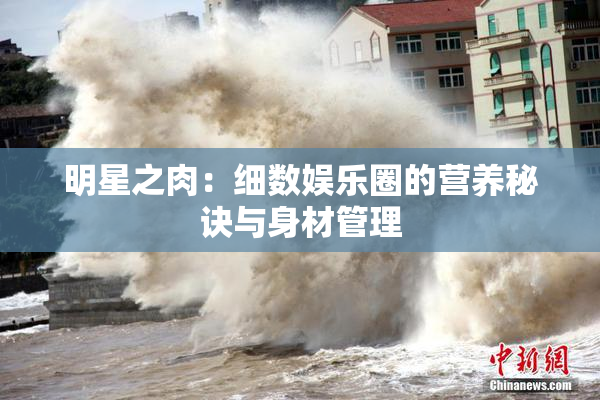 明星之肉：细数娱乐圈的营养秘诀与身材管理