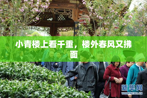 小青楼上看千重，楼外春风又拂面