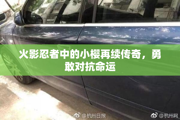 火影忍者中的小樱再续传奇，勇敢对抗命运