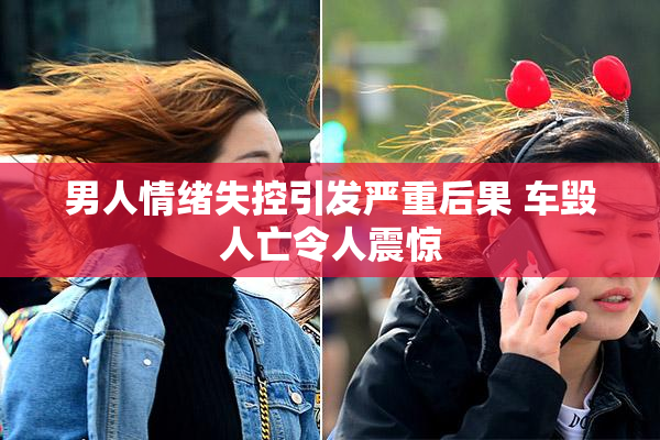 男人情绪失控引发严重后果 车毁人亡令人震惊