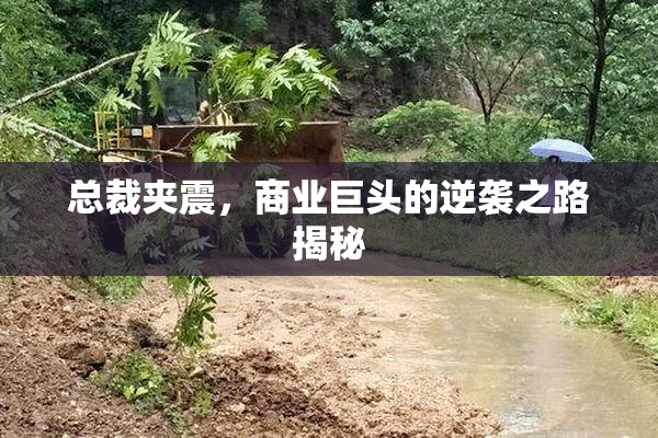 总裁夹震，商业巨头的逆袭之路揭秘