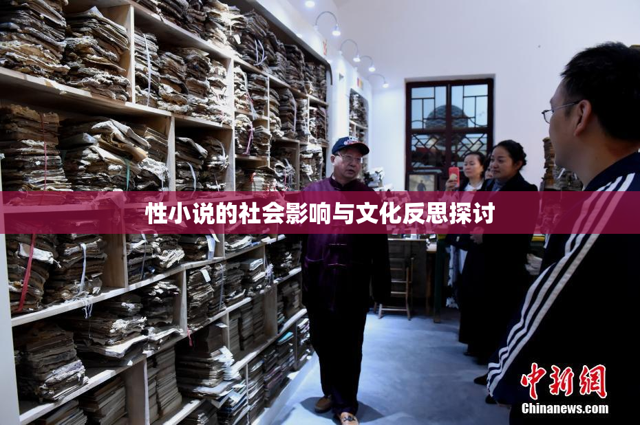 性小说的社会影响与文化反思探讨