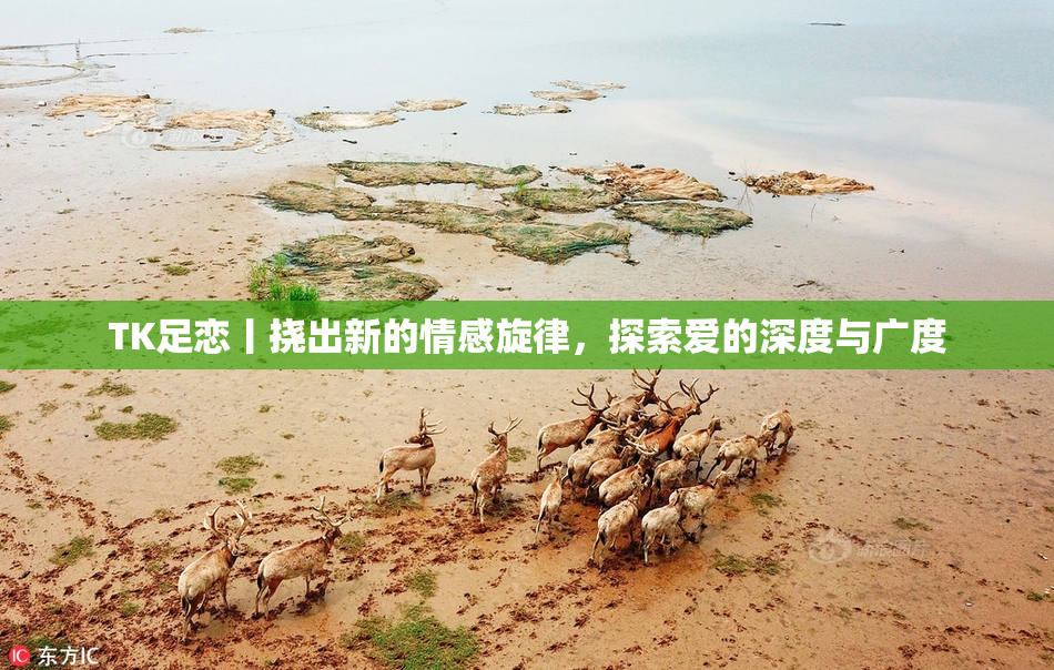 TK足恋丨挠出新的情感旋律，探索爱的深度与广度