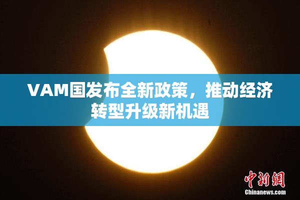 VAM国发布全新政策，推动经济转型升级新机遇