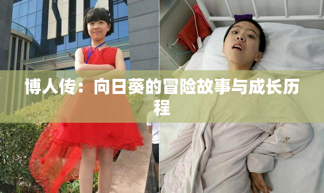 博人传：向日葵的冒险故事与成长历程