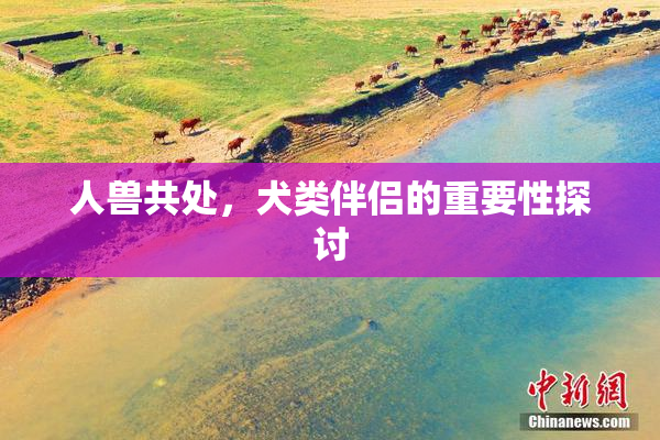 人兽共处，犬类伴侣的重要性探讨