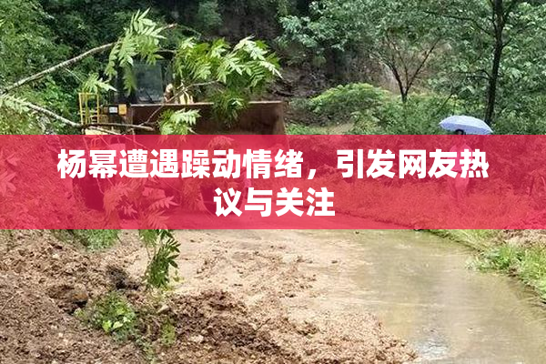 杨幂遭遇躁动情绪，引发网友热议与关注