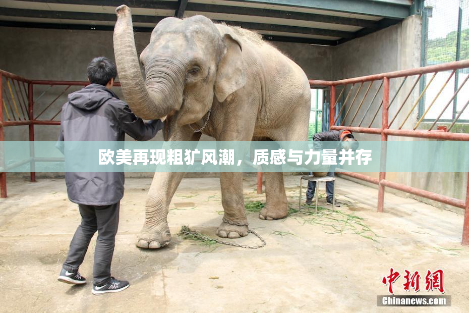 欧美再现粗犷风潮，质感与力量并存